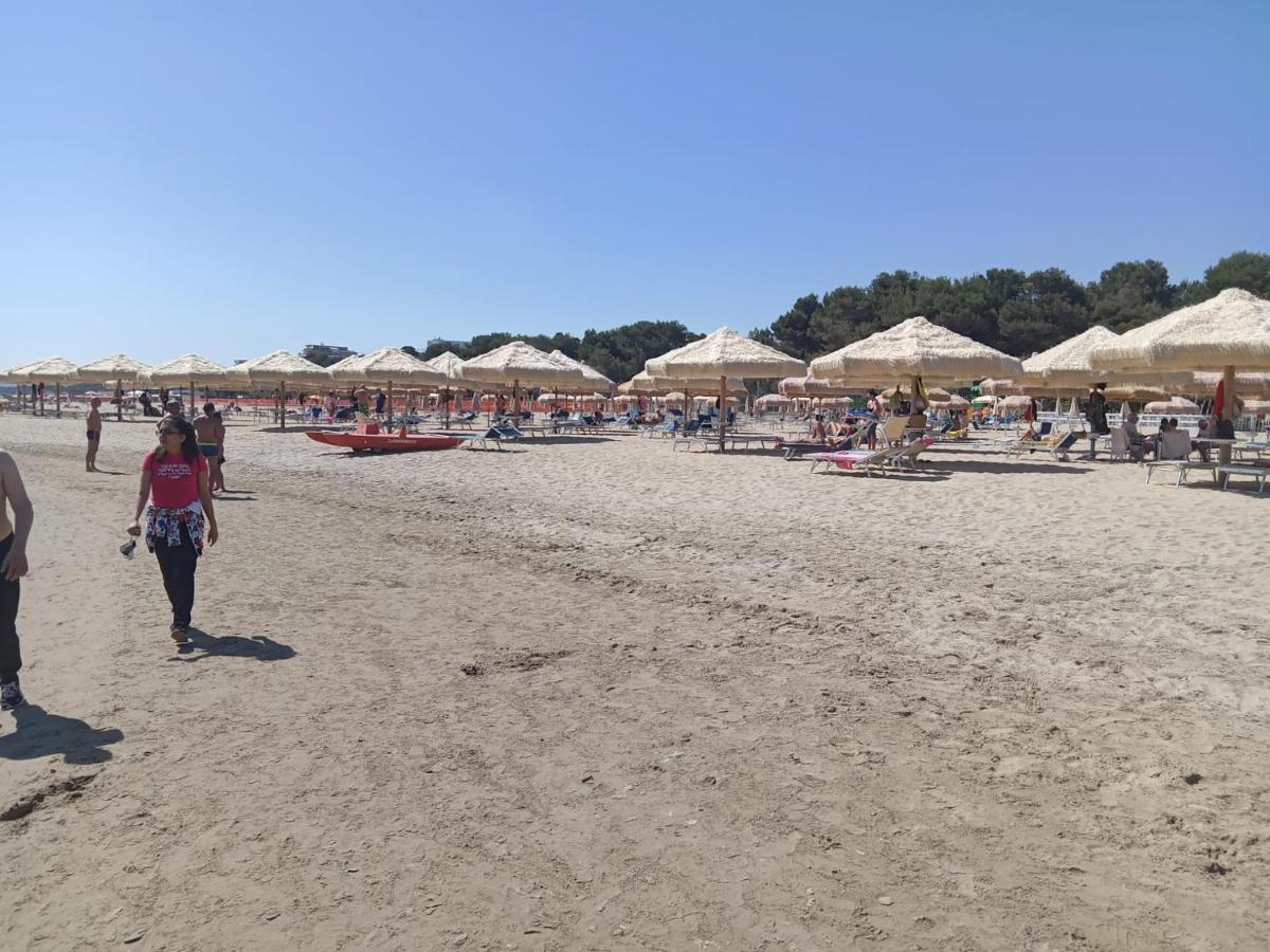 Villa Annamaria Montesilvano Marina المظهر الخارجي الصورة